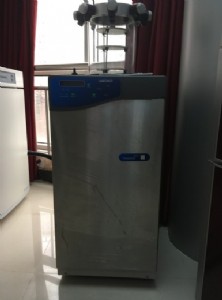 变态视频