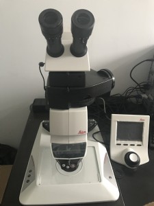 变态视频