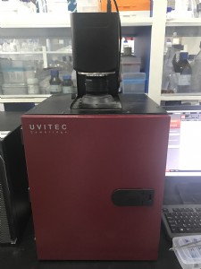 变态视频