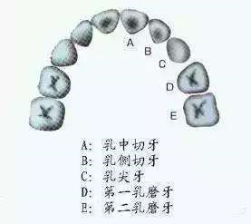 变态视频