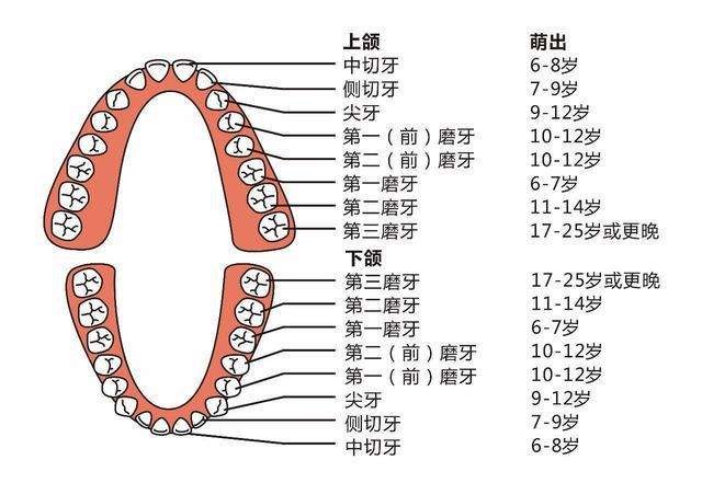 变态视频