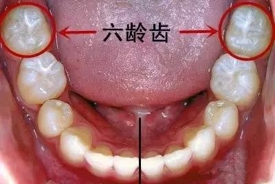 变态视频
