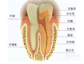变态视频