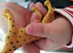 变态视频