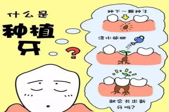 变态视频