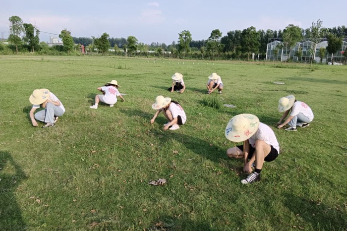 变态视频