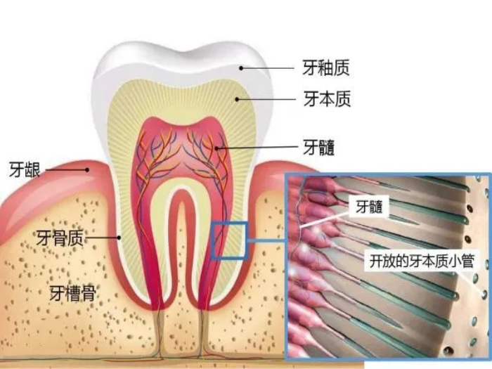 变态视频