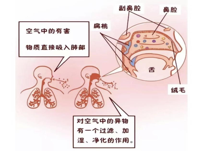 变态视频