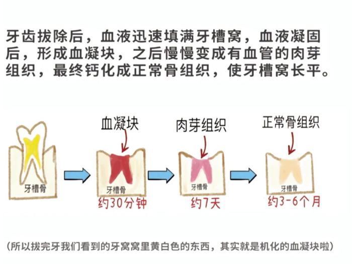 变态视频