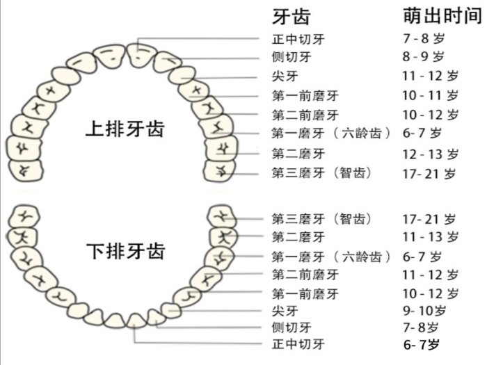变态视频