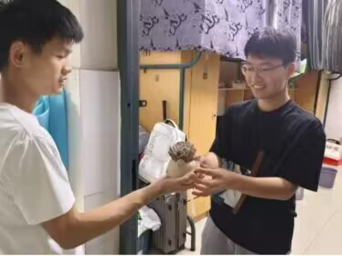 变态视频